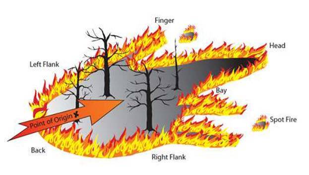 Fire Behavior Terms