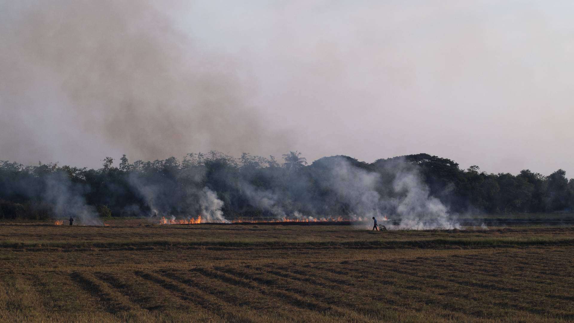 Types of Burn Permits Issued Santa Barbara County Fire Department